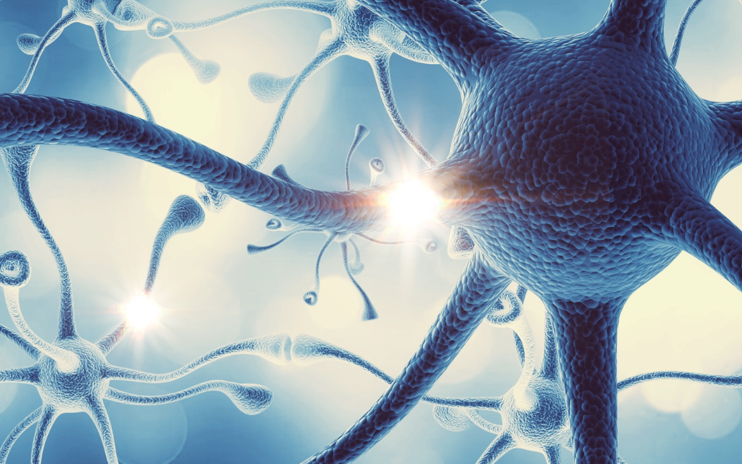 Hva er endocannabinoidsystemet (ECS)?