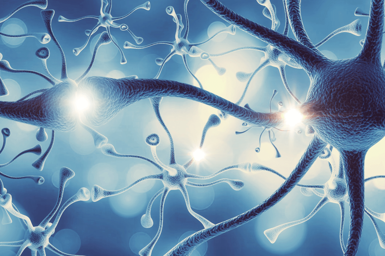 endocannabinoidsystemet